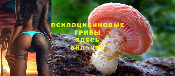 ALPHA PVP Касимов