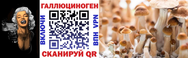 Галлюциногенные грибы Magic Shrooms  Купить где  Берёзовский 